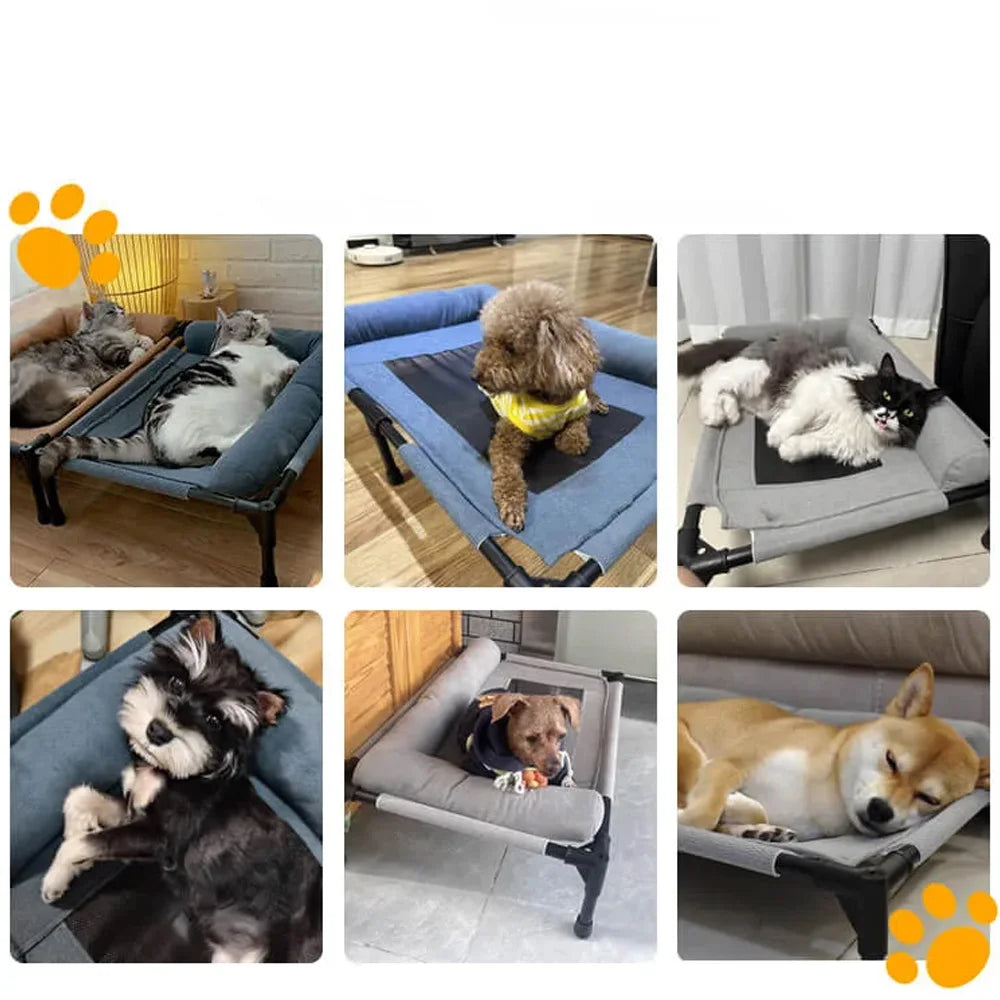 Lit Pour Chien Xxl Surélevé