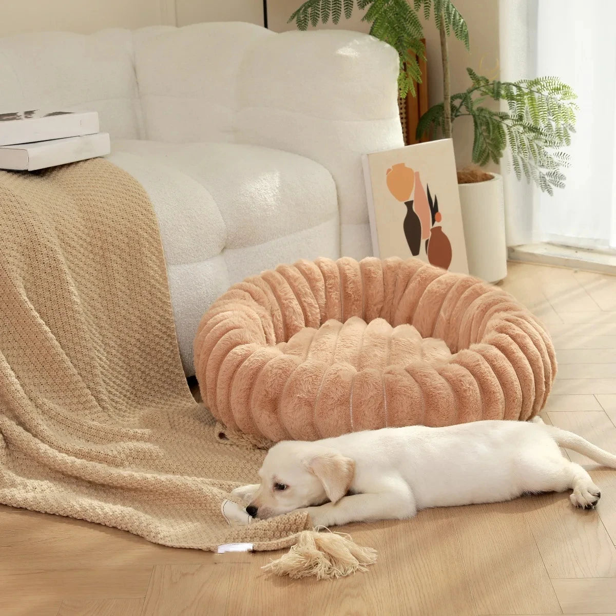Coussin Rond Pour Chien