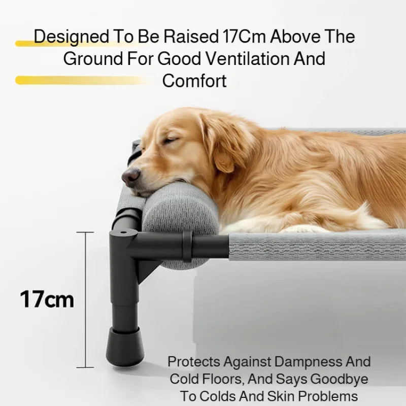 Lit Surélevé Pour Grand Chien