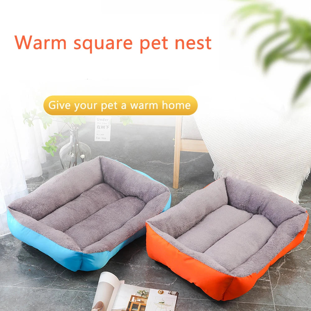 Lit Pour Chien Moyen