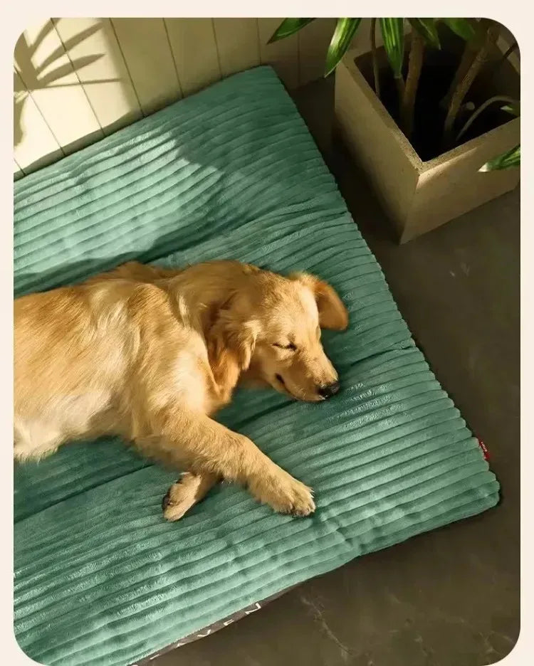 Coussin Pour Chien Xxl