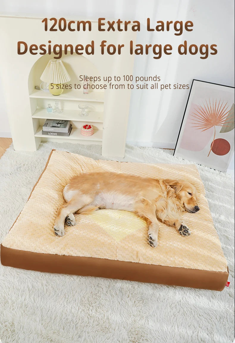 Coussin Pour Chien Labrador