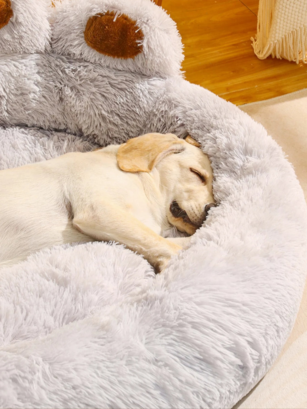 Panier Coussin Pour Chien