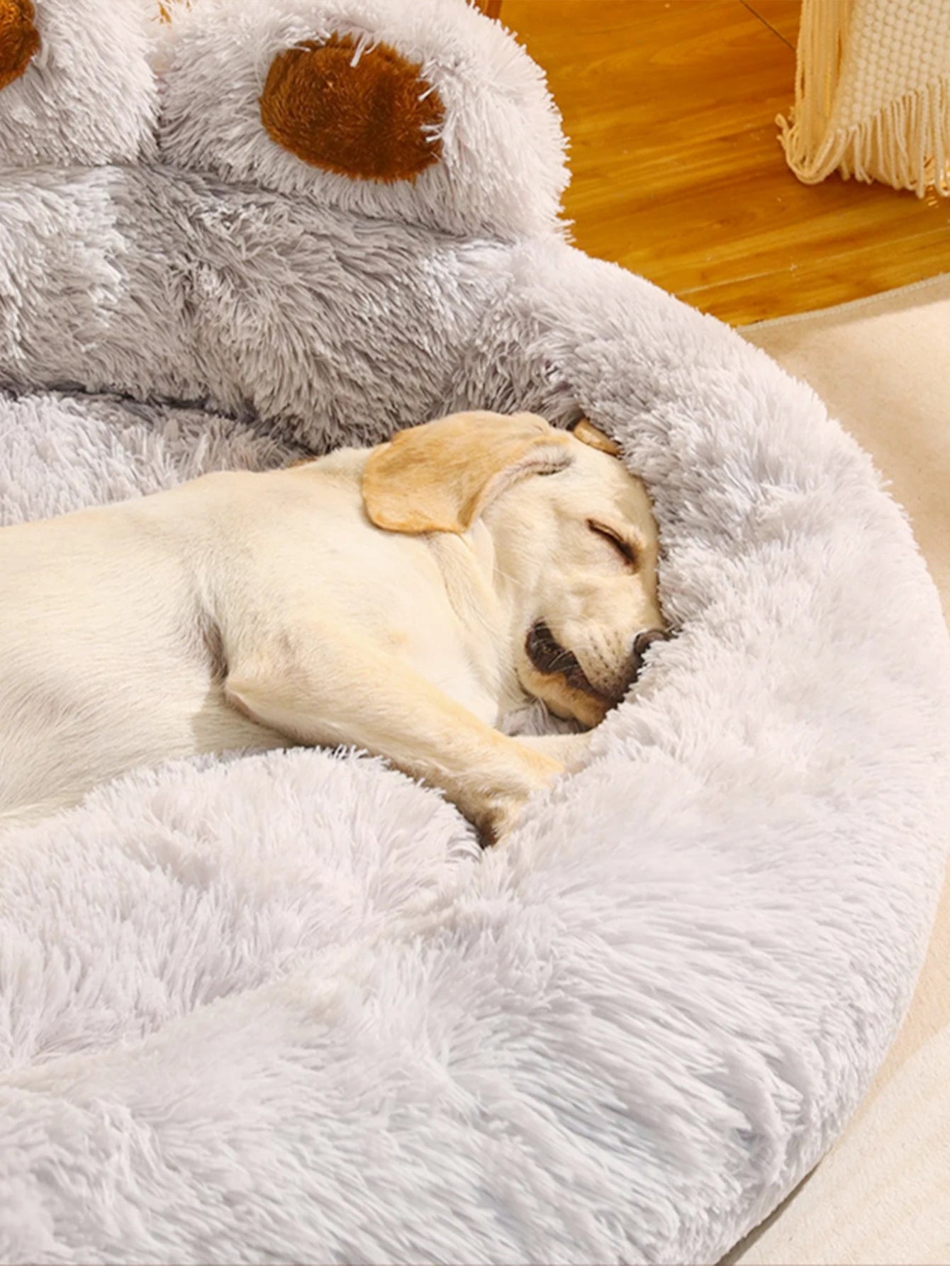 Panier Coussin Pour Chien