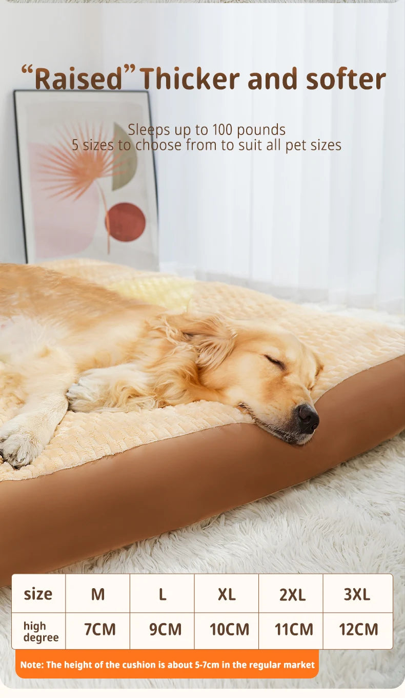 Coussin Pour Chien Labrador