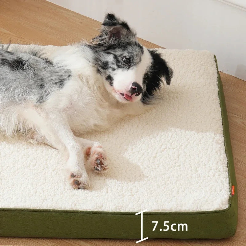 Coussin Pour Chien Lavable