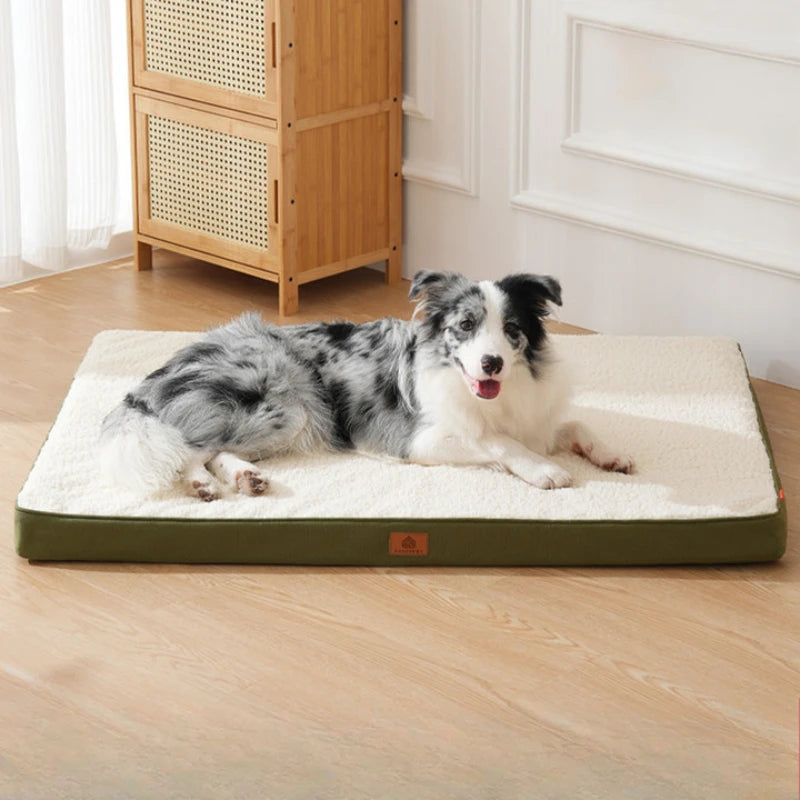 Coussin Pour Chien Lavable