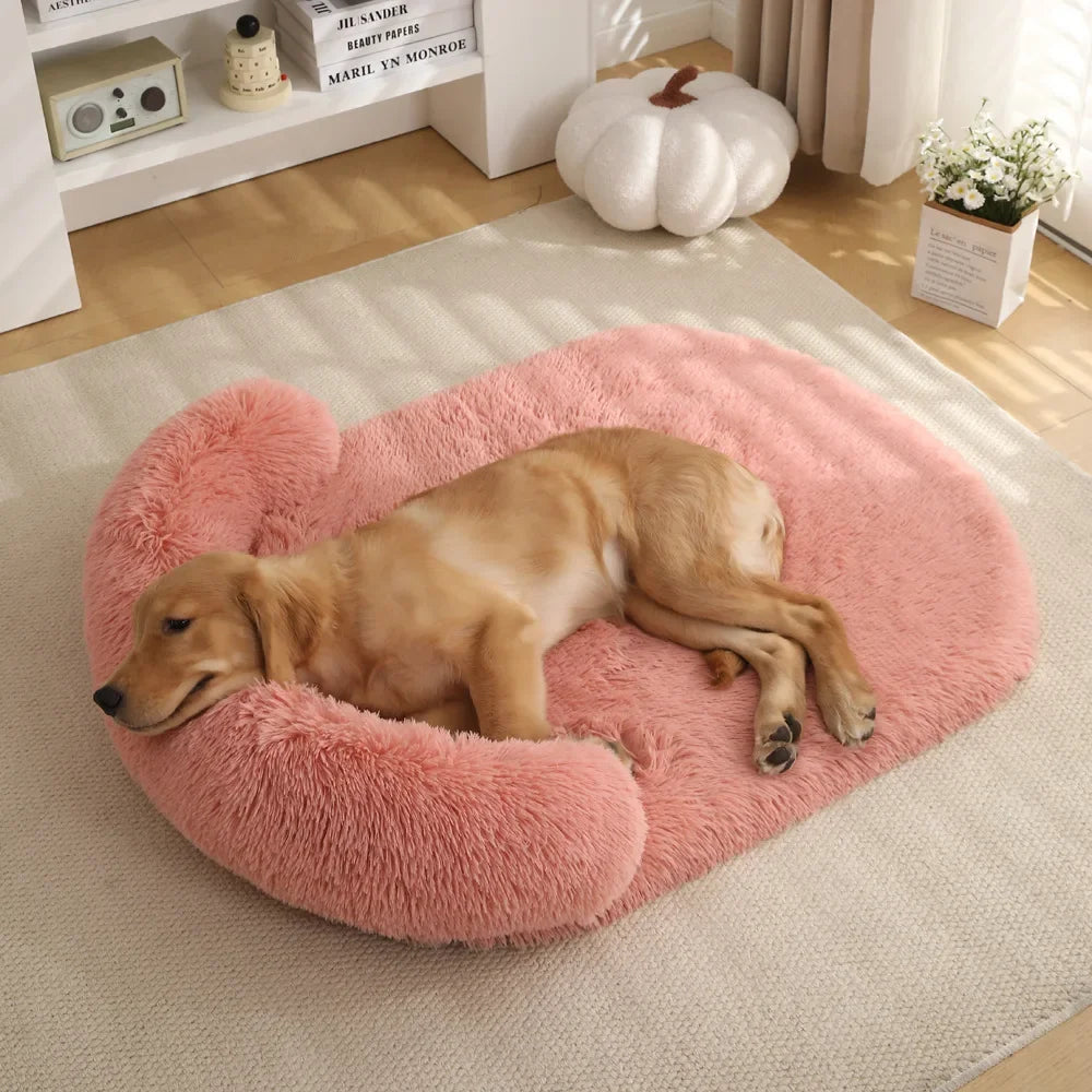 Coussin Pour Grand Chien 150 Cm
