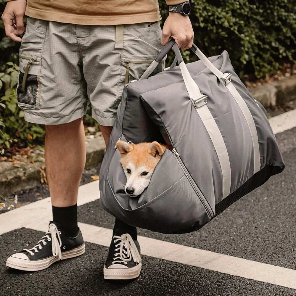 Lit Pour Chien Voiture
