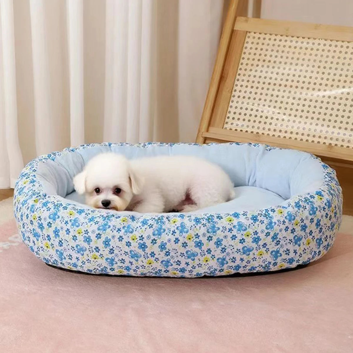 Coussin Pour Chien Bouledogue Francais