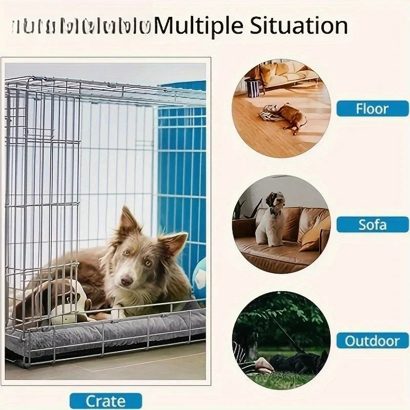 [ANCIEN] supprimer — Lit Orthopédique Pour Chien