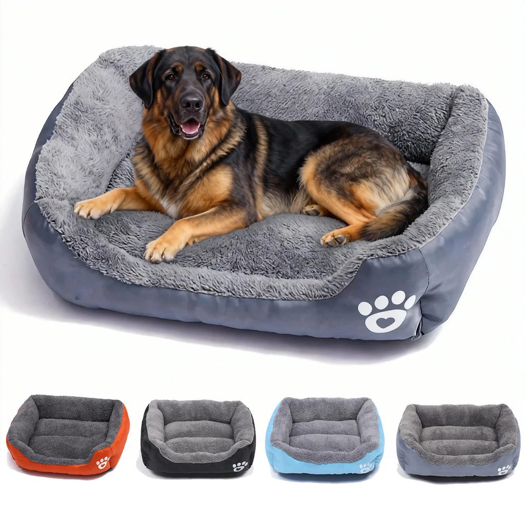 Lit Pour Chien Moyen