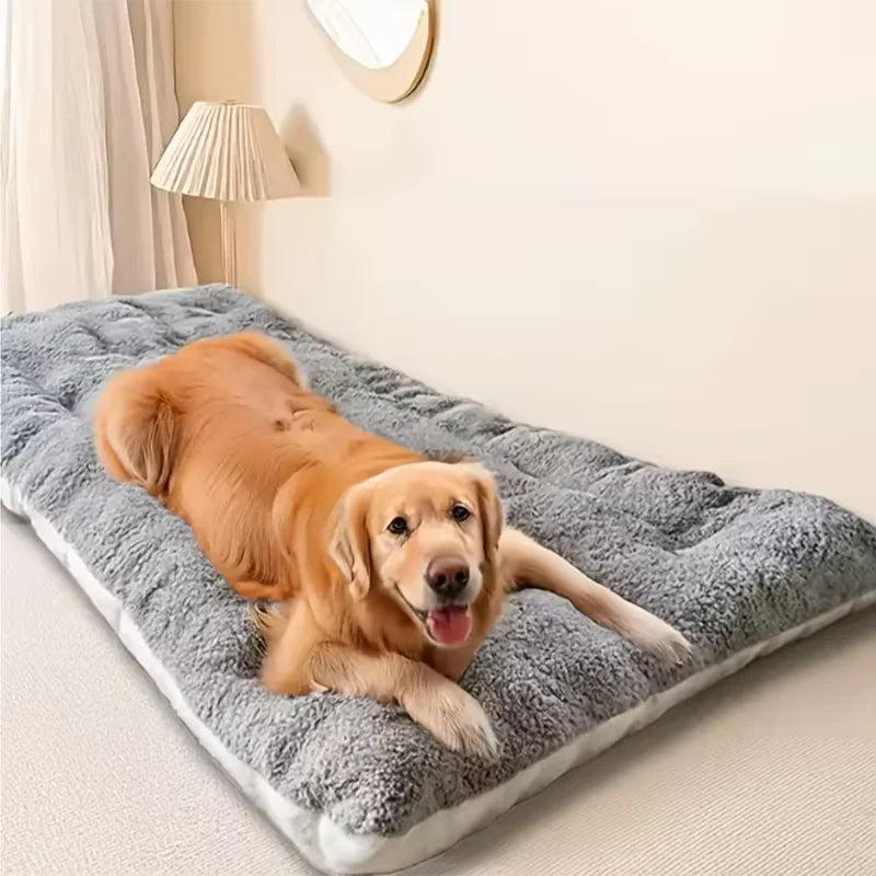[ANCIEN] supprimer — Lit Orthopédique Pour Chien