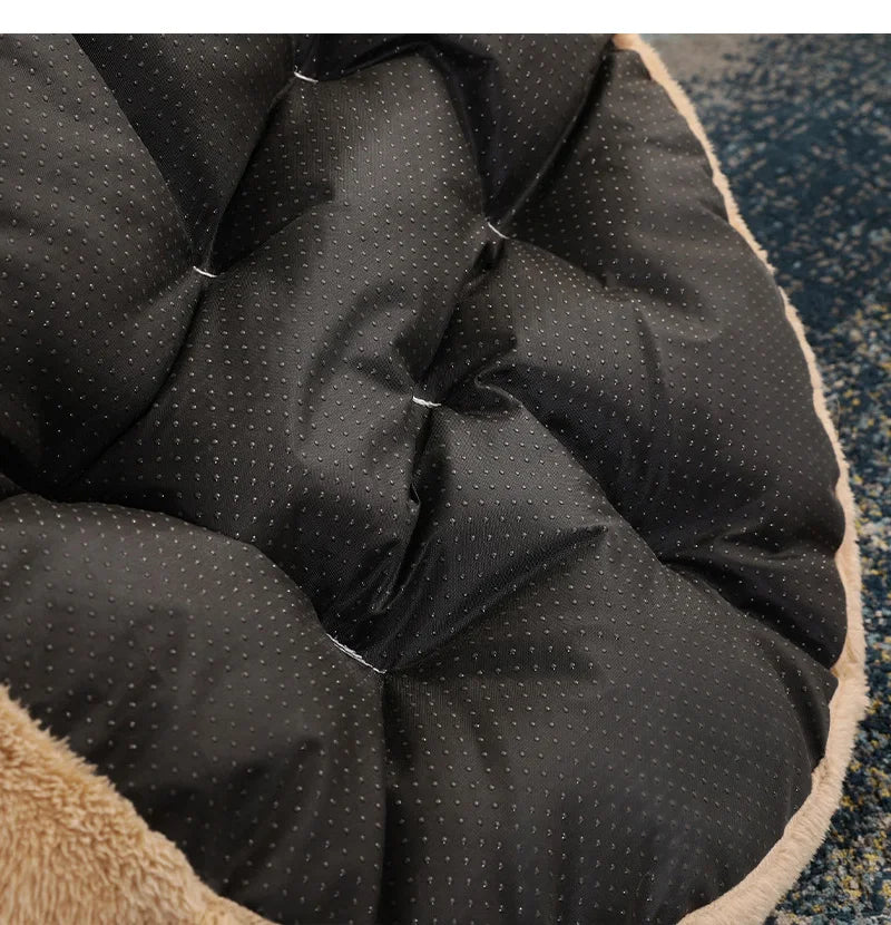 Coussin Pour Chien Golden Retriever