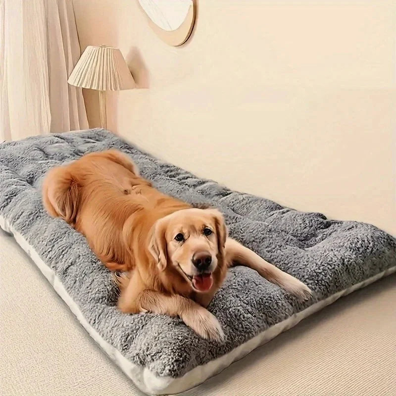 [ANCIEN] supprimer — Lit Orthopédique Pour Chien