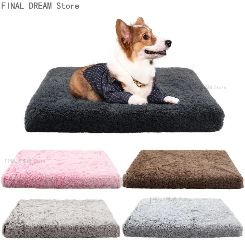 🗑️ SRC-ALIEXPRESS