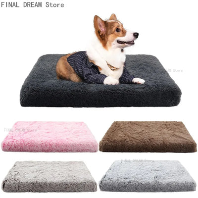 COUSSIN SOLO