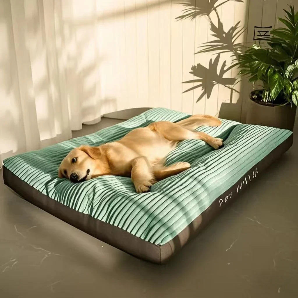 Coussin Pour Chien Xxl
