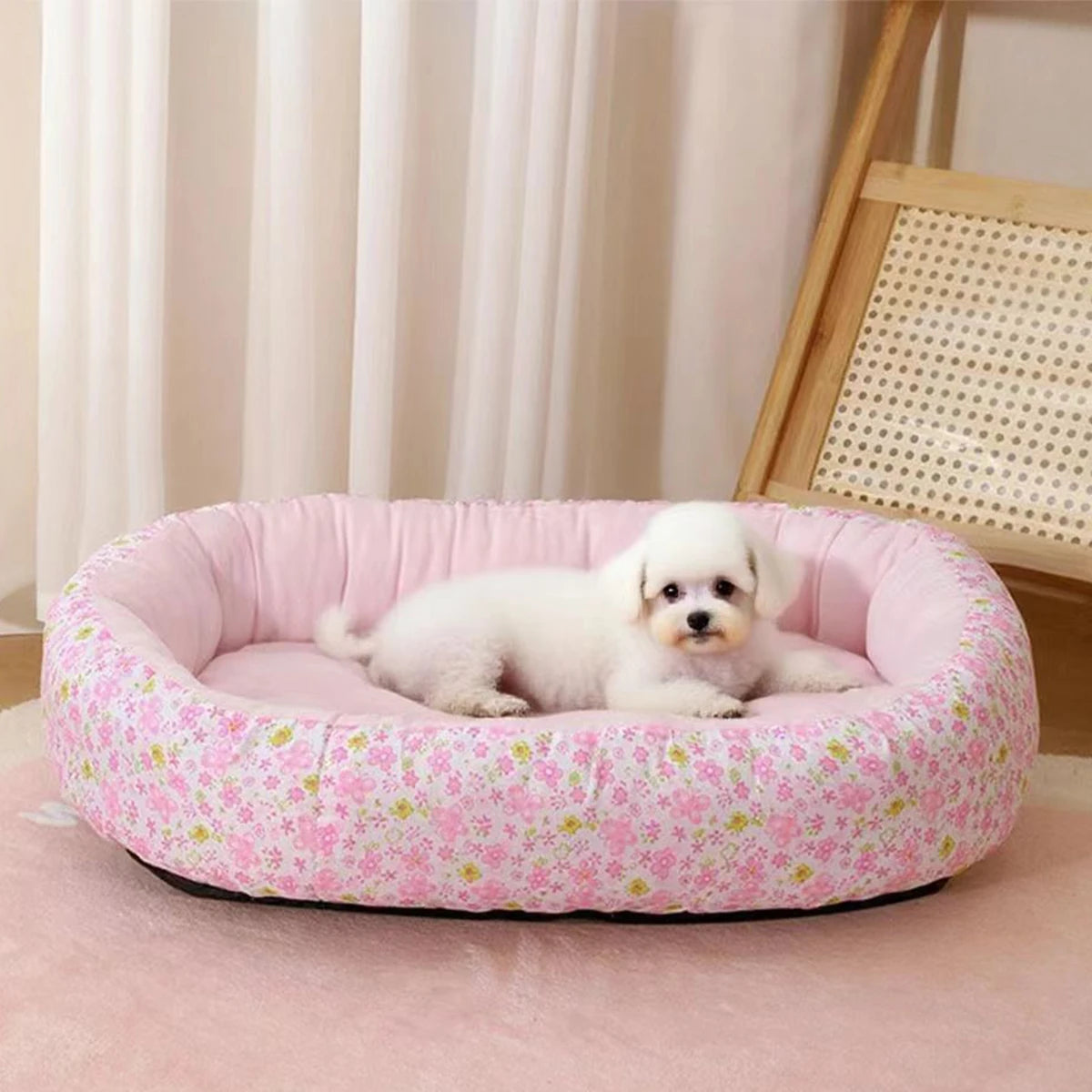 Coussin Pour Chien Bouledogue Francais