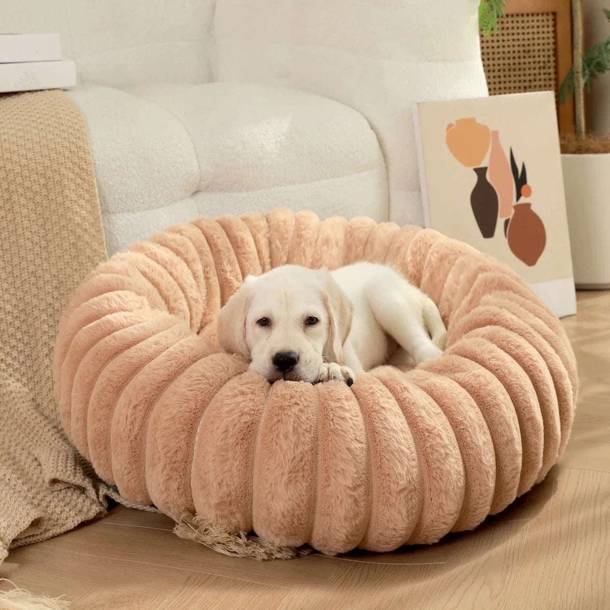 Coussin Rond Pour Chien