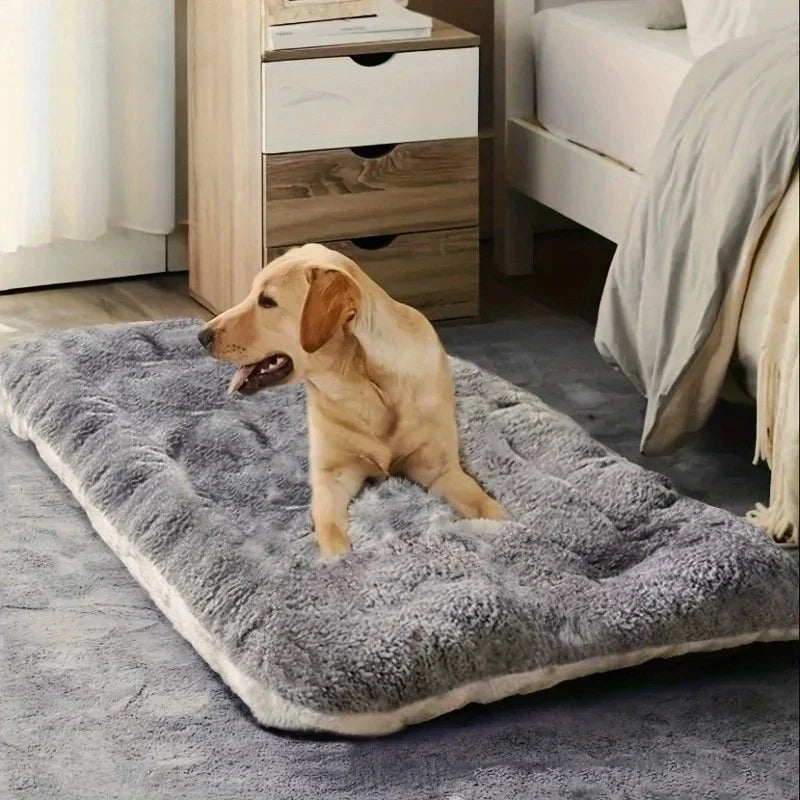 [ANCIEN] supprimer — Lit Orthopédique Pour Chien