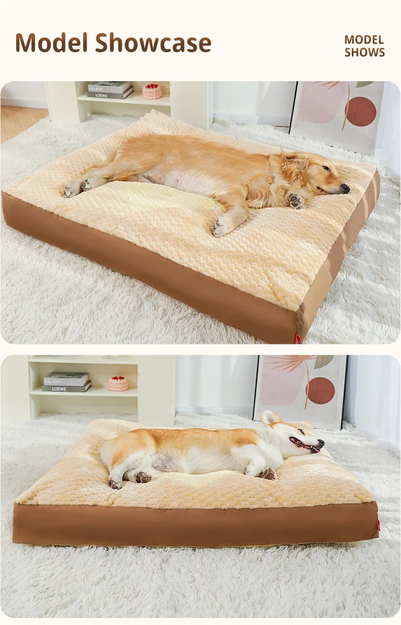 Lit Pour Chien Déhoussable
