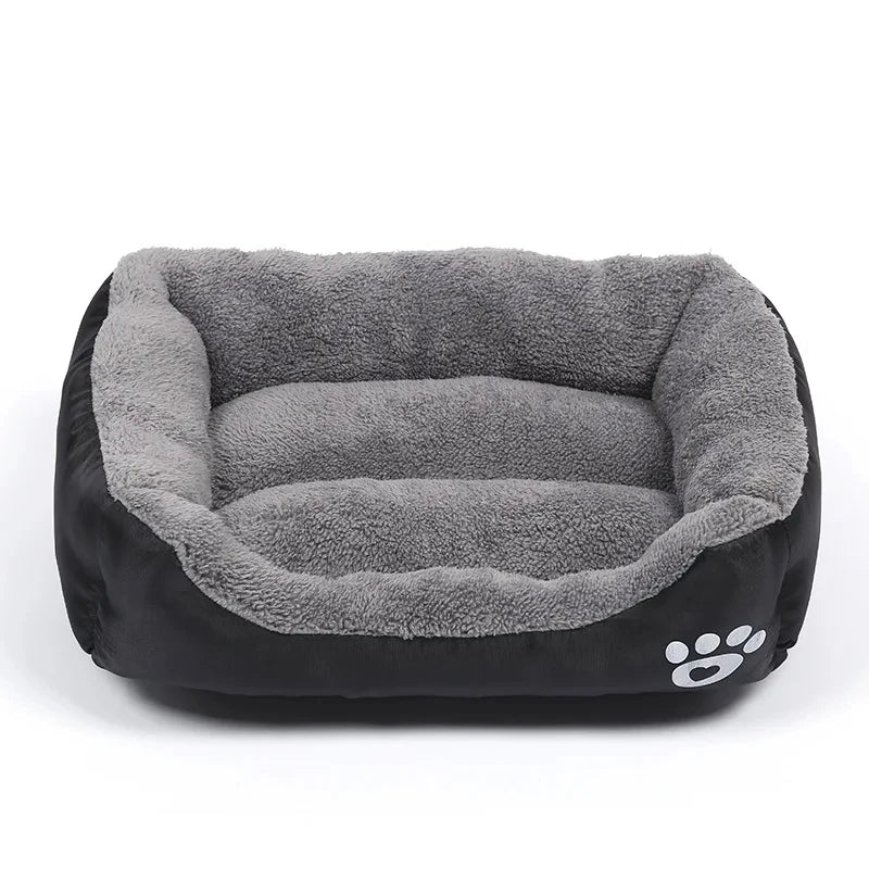 Lit Indestructible Pour Chien