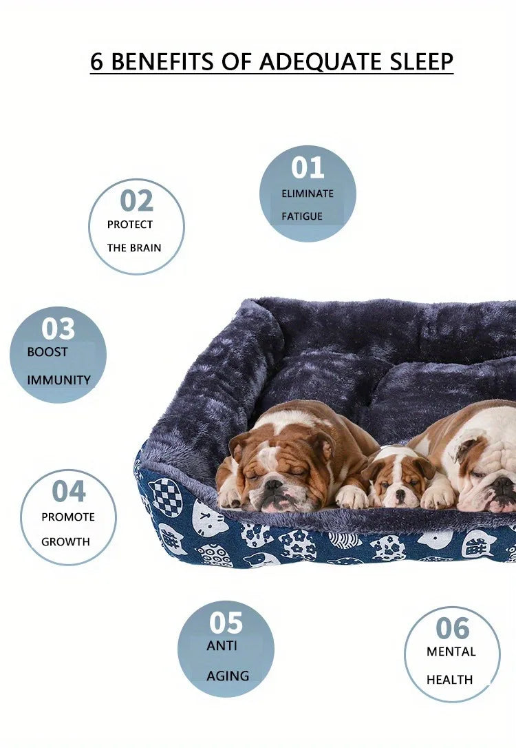 Lit Pour Chien Pas Cher