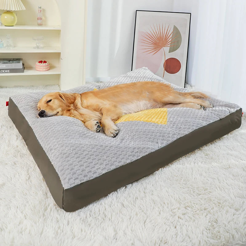 Coussin Pour Chien Labrador