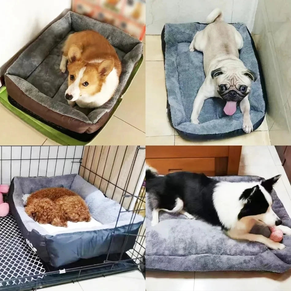 Coussin Pour Chien Anti Poils