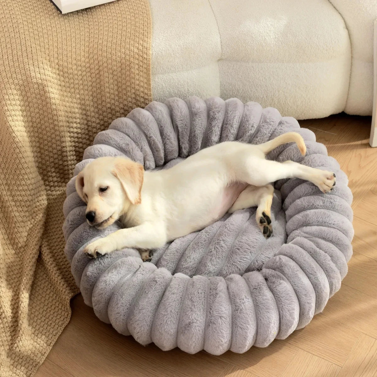 Coussin Rond Pour Chien