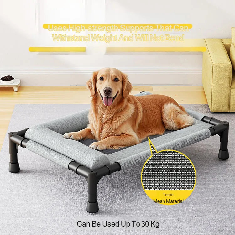 Lit Pour Chien Xxl Surélevé