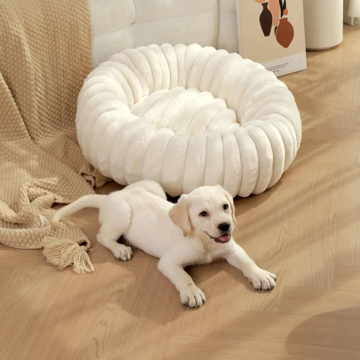 Coussin Rond Pour Chien