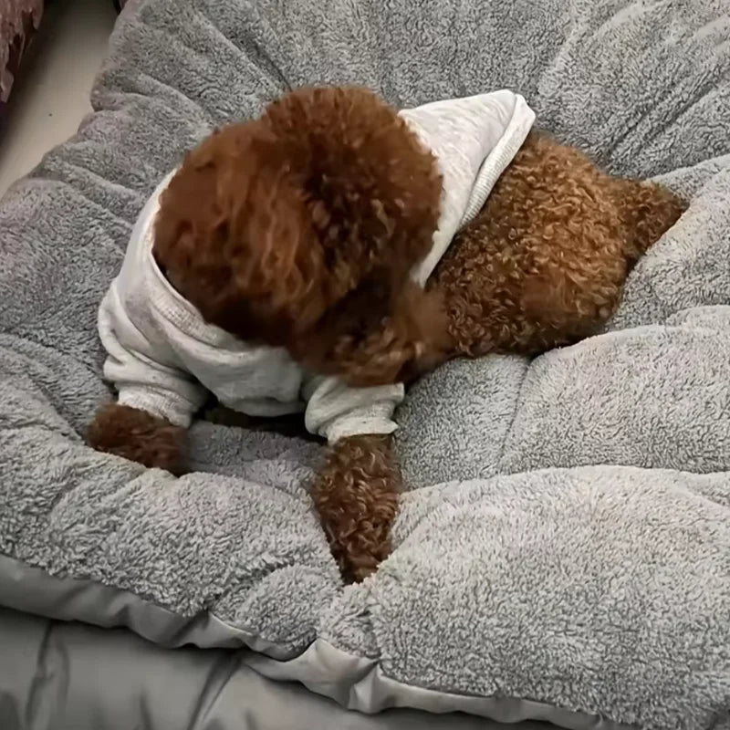 [ANCIEN] supprimer — Lit Orthopédique Pour Chien