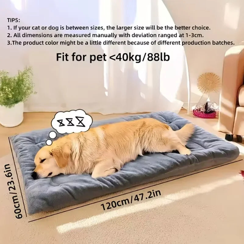 [ANCIEN] supprimer — Lit Orthopédique Pour Chien