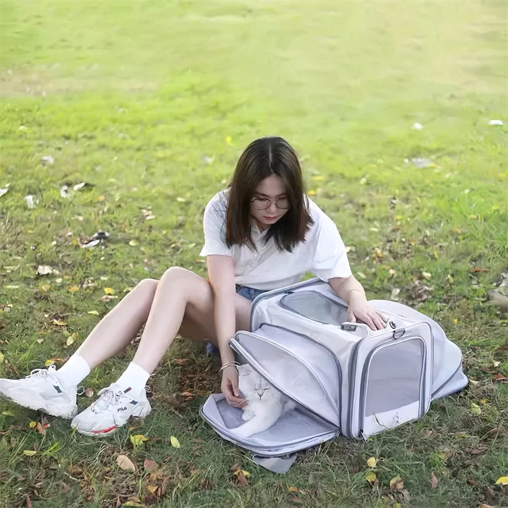🗑️ SRC-ALIEXPRESS