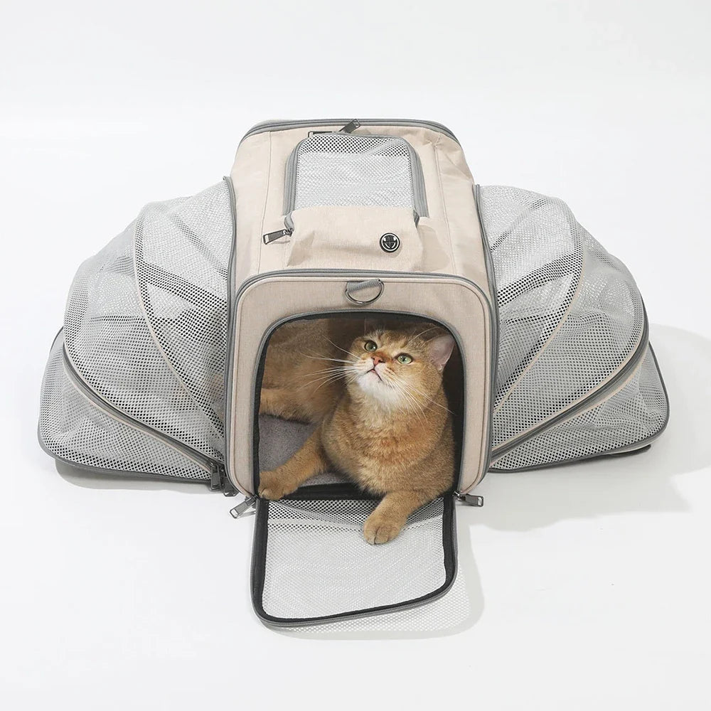 🗑️ SRC-ALIEXPRESS