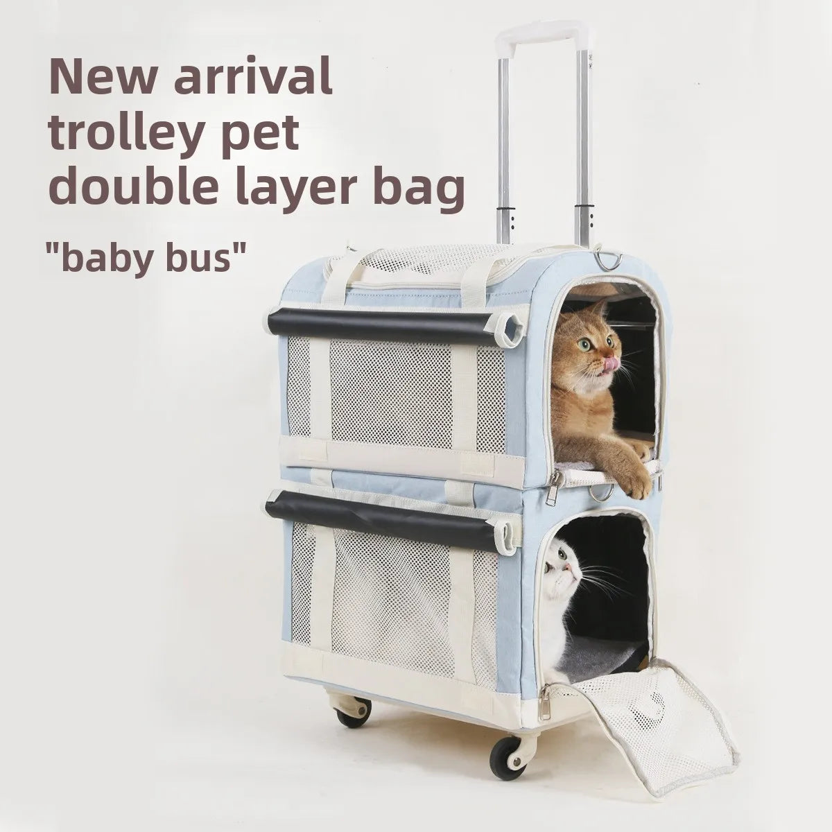 🗑️ SRC-ALIEXPRESS