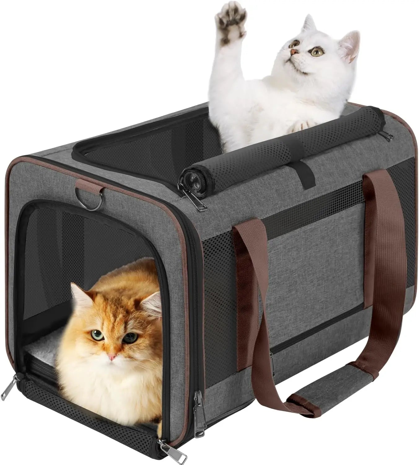 🗑️ SRC-ALIEXPRESS