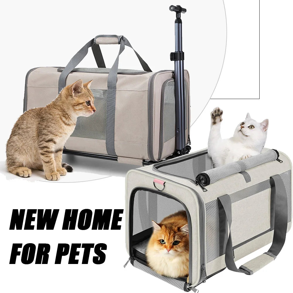 🗑️ SRC-ALIEXPRESS