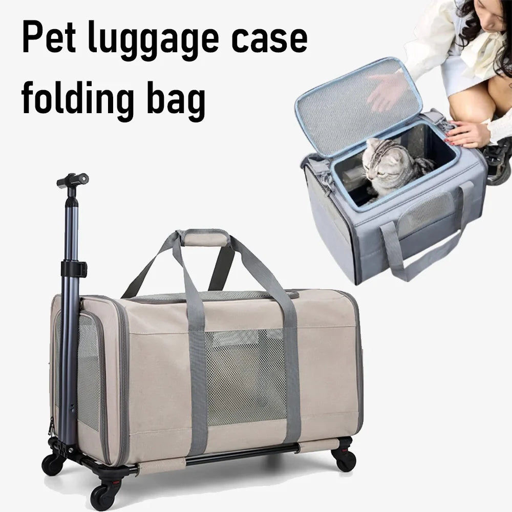 🗑️ SRC-ALIEXPRESS