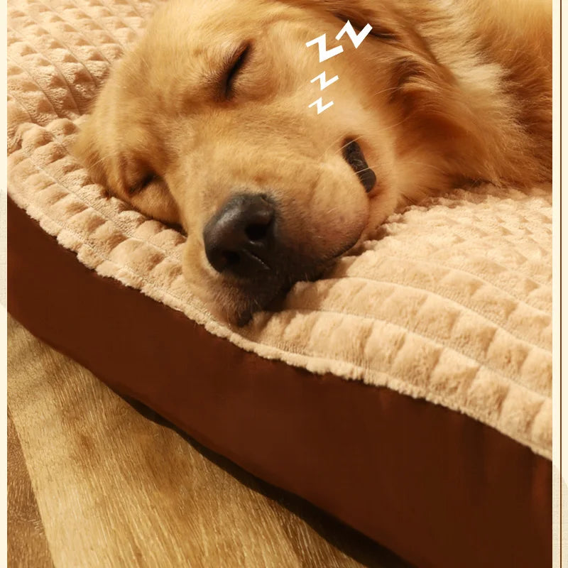Coussin Pour Grand Chien