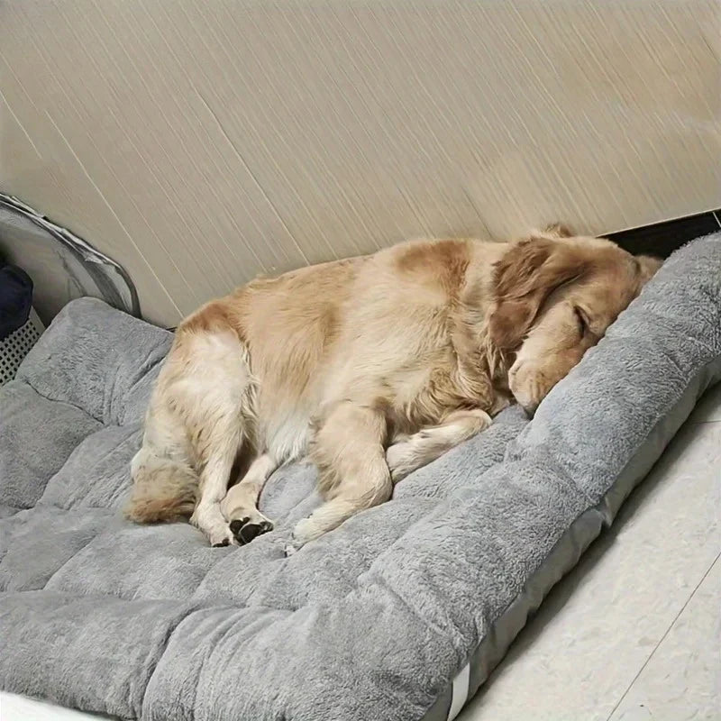 [ANCIEN] supprimer — Lit Orthopédique Pour Chien