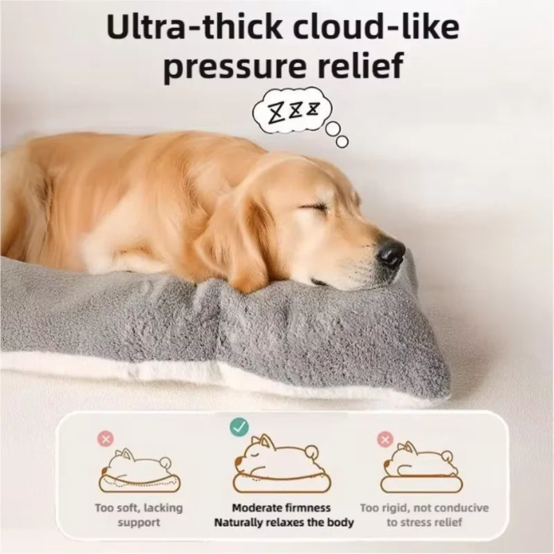 [ANCIEN] supprimer — Lit Orthopédique Pour Chien