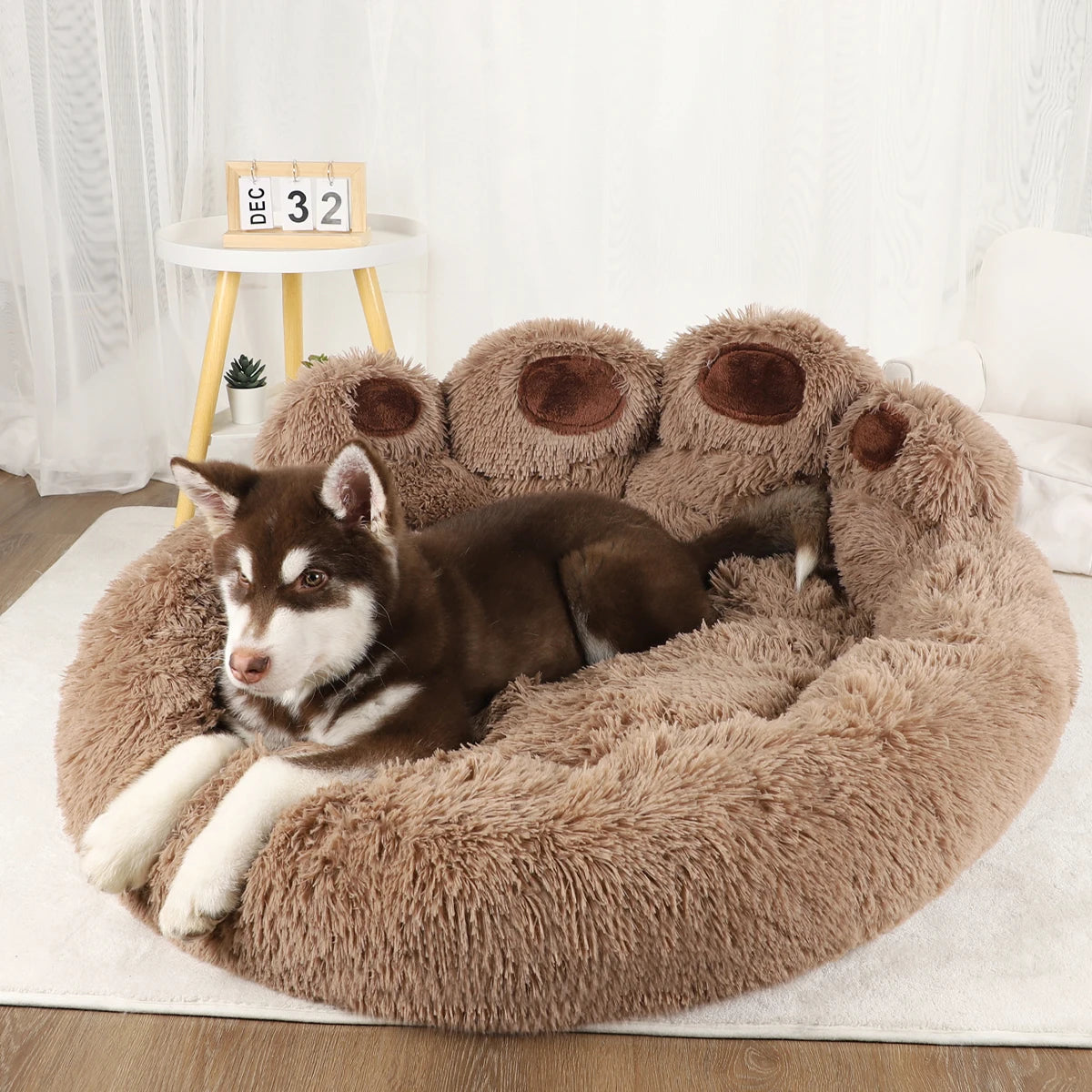 Lit Rond Pour Chien