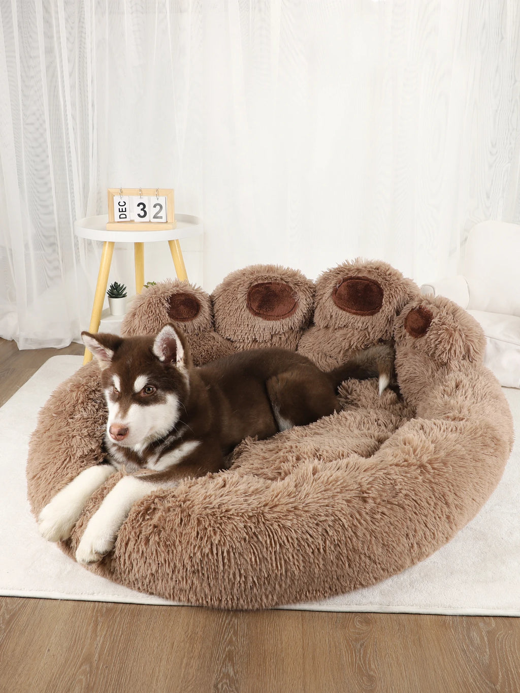 Panier Coussin Pour Chien