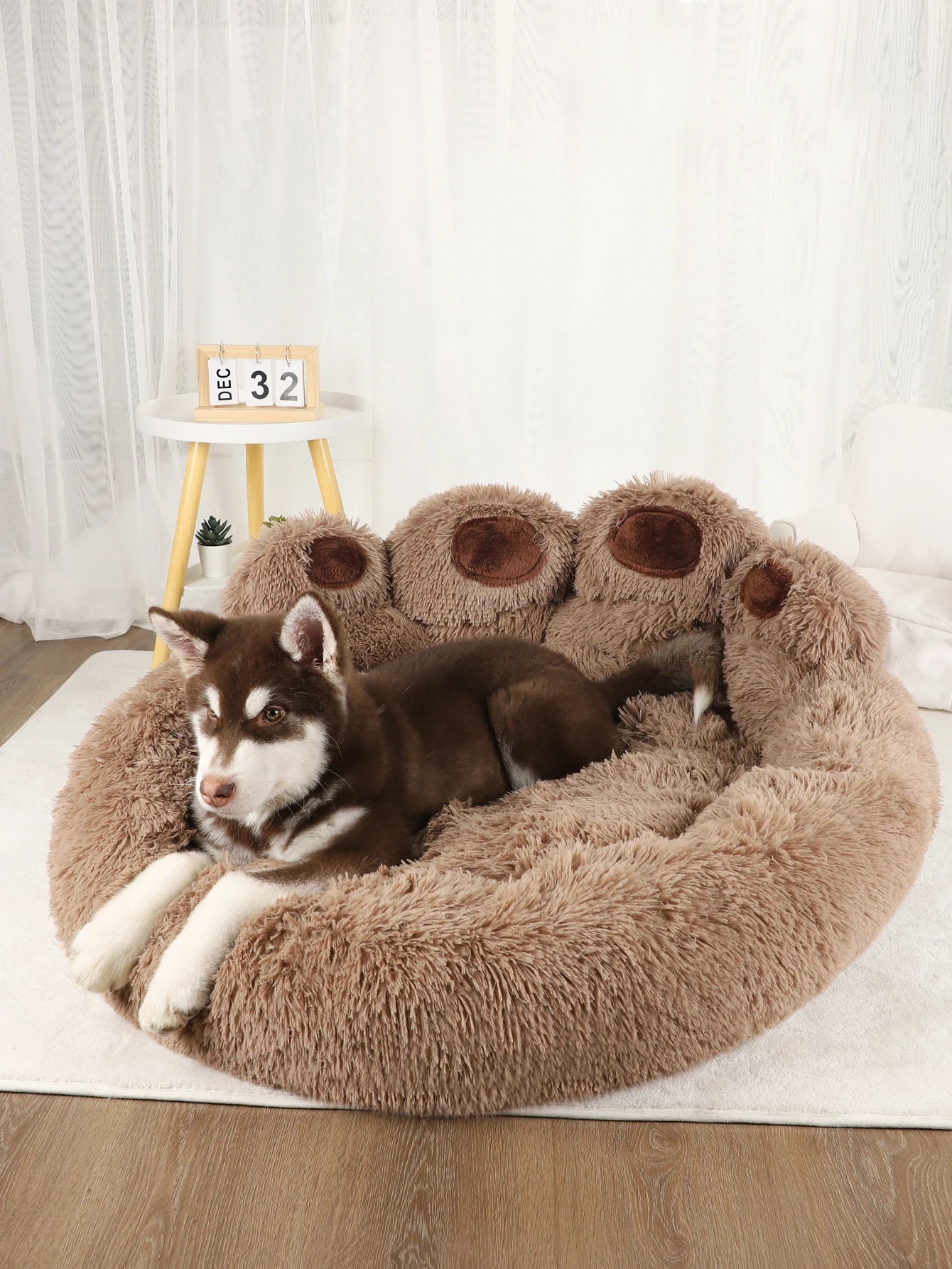 Panier Coussin Pour Chien