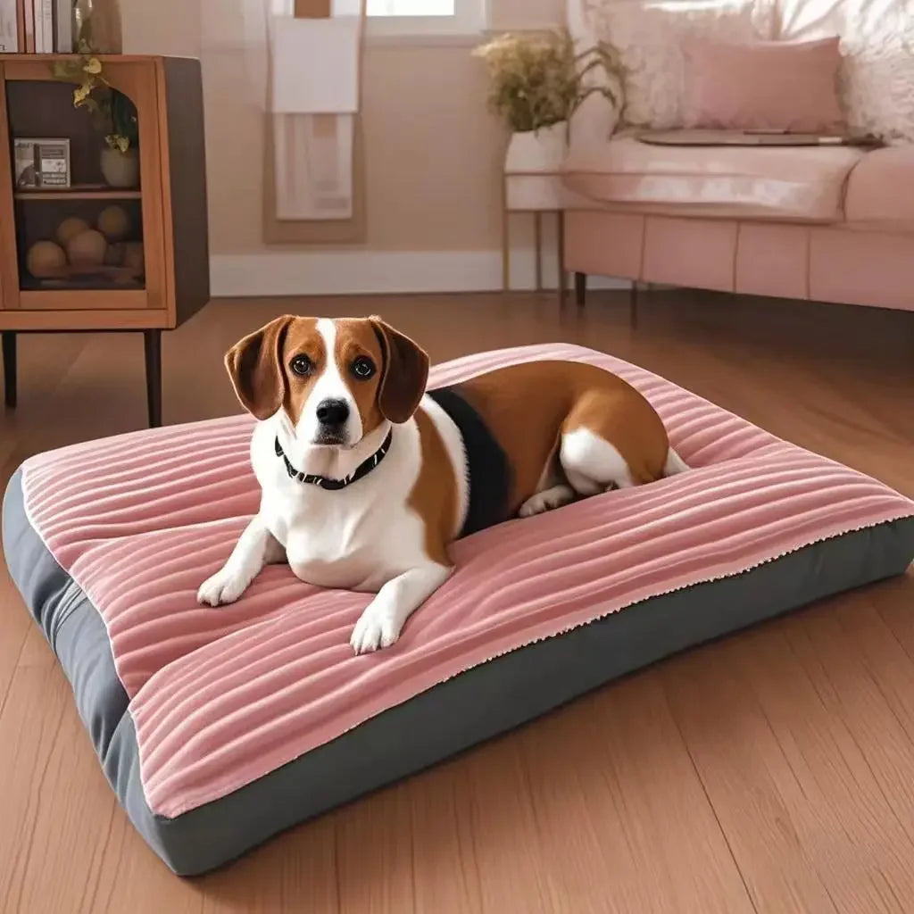 Coussin Pour Chien Xxl