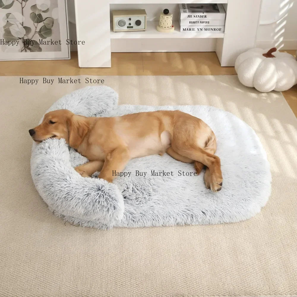 Lit Pour Chien Design