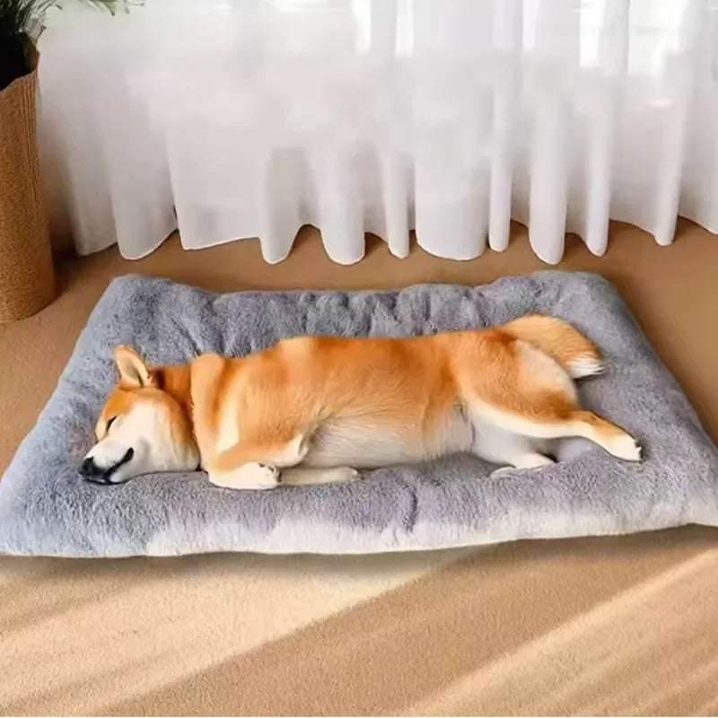 [ANCIEN] supprimer — Lit Orthopédique Pour Chien